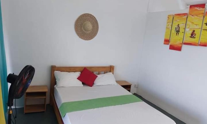 Coromandel Bed & Breakfast | Discover Etoile de Mer Lodge: Oceanfront Pet-Friendly Retreat