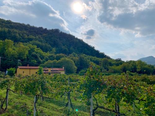 Torreglia House | Discover Casale Il Boschetto in Euganean Hills Park