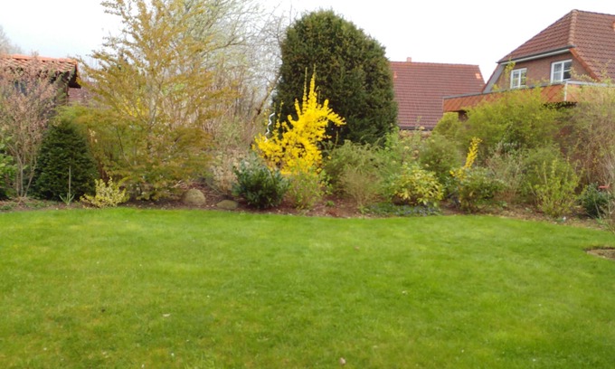 Tarp Apartment | Experience Ocean View Bliss at Owl's Nest Holiday Apartment