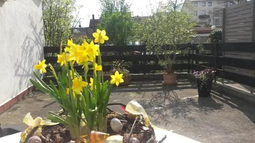 Ludwigshafen-Friesenheim Apartment | Discover Eulennest-lu: Pet & Child Friendly Haven