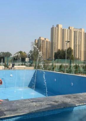 Khattalwada House | Ever green forest