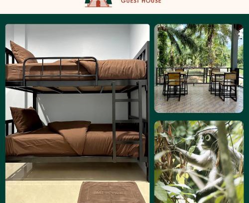 Khlong Sok Bed & Breakfast | Budget-Friendly Evergreen Guest House with Family Amenities