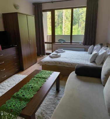 Pamporovo Apartment | Pet-Friendly Stay at Pamporovo Evrika 1 Apartment 21