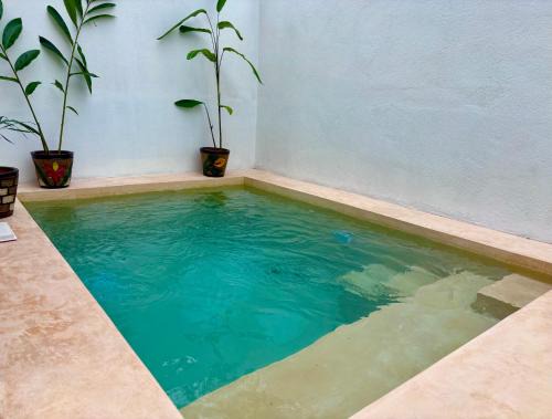 Ciudad Valles House | Premium Home with Pool, Gym & Garden - Guest Rated 9.8
