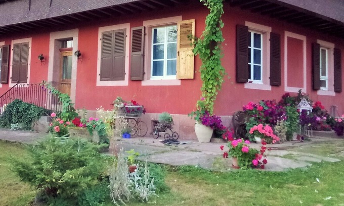 Munster Apartment | Forest Retreat: Perfect for Families and Pet Lovers