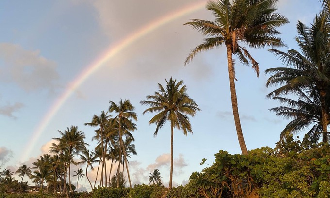Waialee Apartment | Pristine Haleiwa North Shore Beachside Retreat with Ocean Views