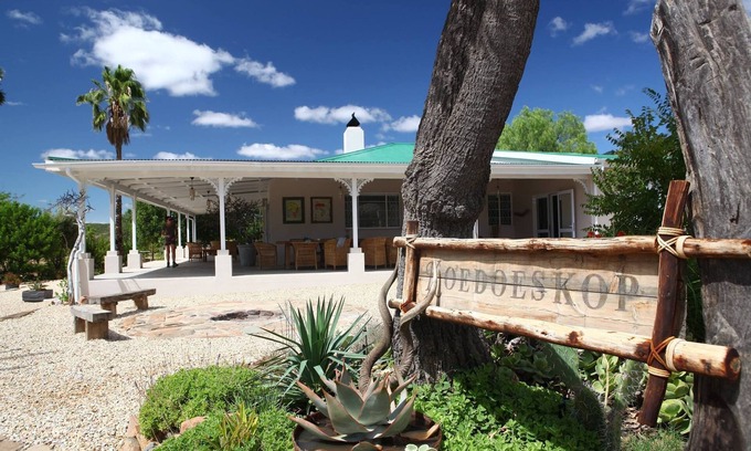 Jansenville Cabin | Immerse in Nature: Explore a 3600 Hectare Wildlife Reserve