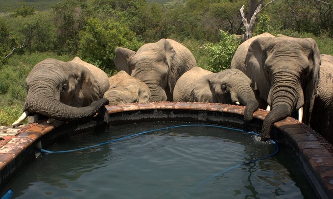 Rooiberg Cabin | Unforgettable African Adventure at Private Game Reserve