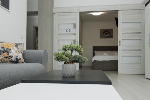 Suceava Apartment | Pet-Friendly Ultracentral Apartments Near Universitatii