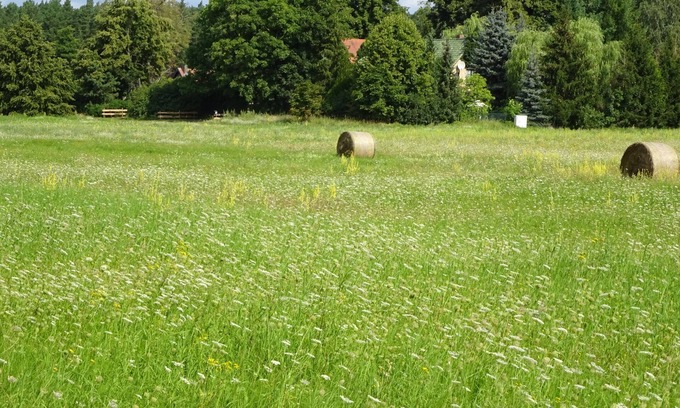 Oberhavel Apartment | Ocean View Apartment No.1 - Guest Rated 9.8 with Breakfast