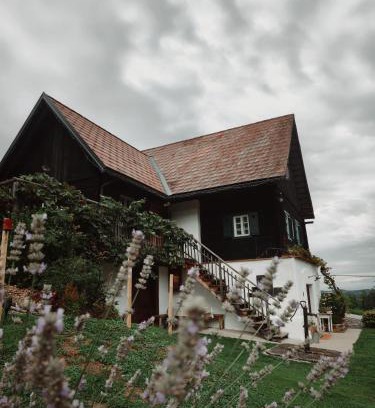 Altenbach House | Serene Nature Retreat - 4-Star Oceanfront Oasis