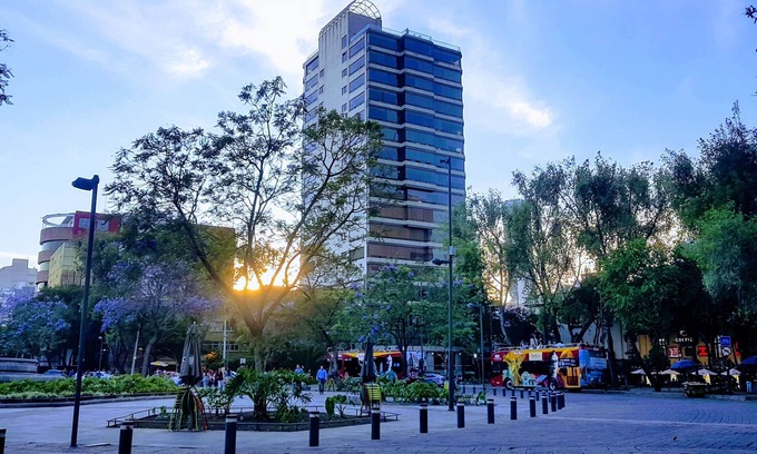 Roma Norte Apartment | Discover Mexico City from a New Perspective in Comfort