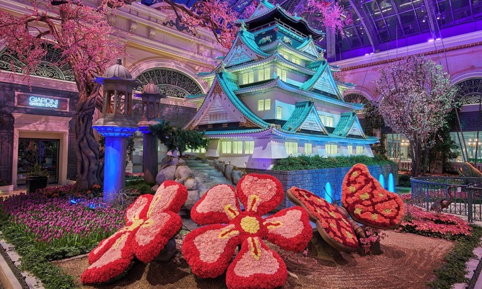 Las Vegas Hotel | Discover the Exciting Las Vegas Strip with Pool & Jacuzzi