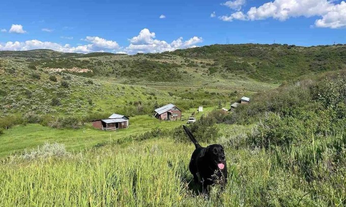 Collbran Cabin | Discover Hunting Cabins in Collbran, Colorado - Pet Friendly Retreat