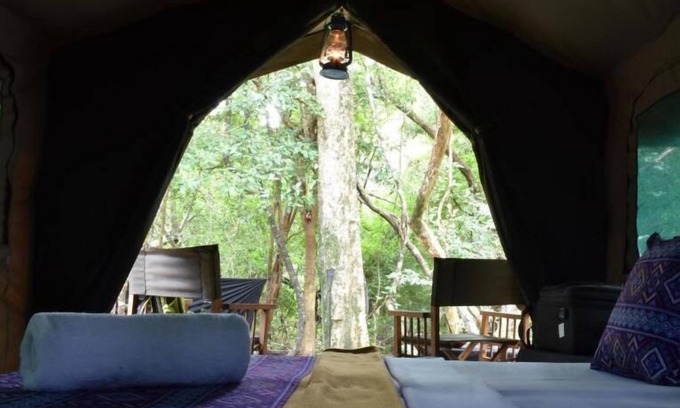 Wilgamuwa Other | Discover Explorer by Eco Team near Wasgamuwa National Park