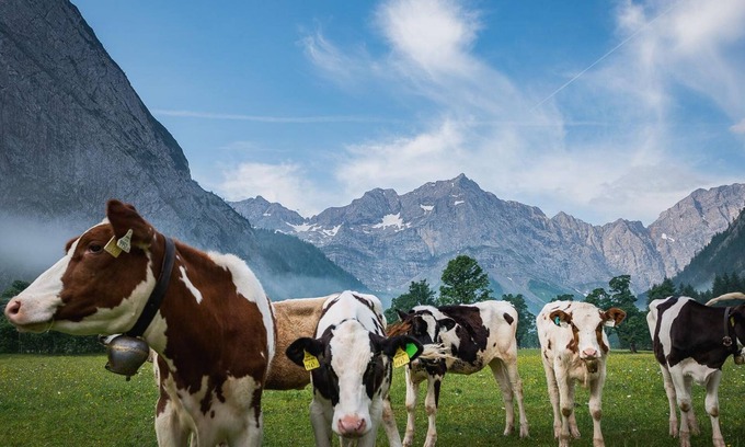Eng Alm Cabin | Delightful Five-Bedroom Retreat at Angerer Lager, Almdorf Eng Alm