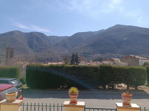 Arles-sur-Tech Apartment | Mountain View F2 Apartment: Pet & Child Friendly Retreat