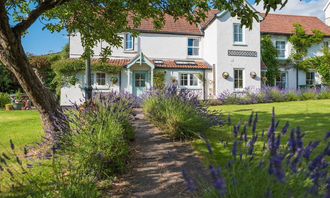 Braunton House | Spacious House Steps from Devon’s Surf Beaches and Village