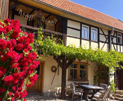 Laucha House | Fachwerkhaus mit rustikalem Weinkeller und Garten, ganze Unterkunft, gute Lage