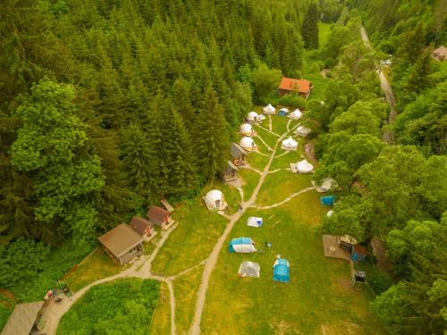 Lunca Bradului Ski Chalet | Pet-Friendly Retreat with Spa and Family Amenities at Fain