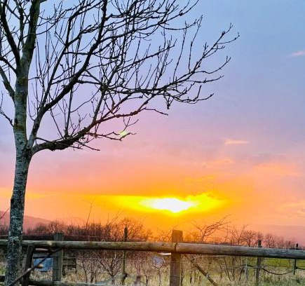 Cheltenham House | Pet and Child Friendly Retreat at Fairford Haus