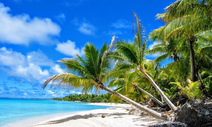 Fakarava Apartment | Experience Bliss at Fakarava Sud - Sea Renity Bungalow