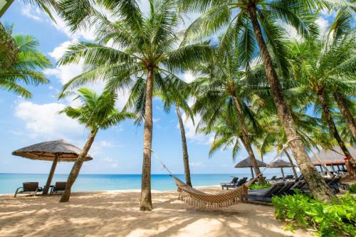 Cua Lap Resort | Relaxing Famiana Resort & Spa with Oceanfront Views
