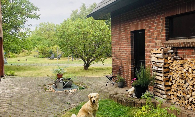 Doberlug-Kirchhain Apartment | Familienfreundliche Fewo mit Großem Garten. Hunde Willkommen