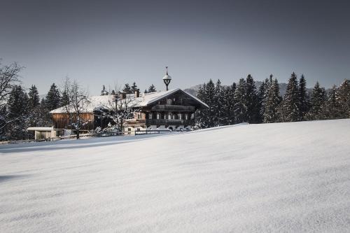 Landl Apartment | Modern Family-Friendly Apartment in Tirol with Ocean View