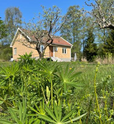 Sunnemo House | Family-Friendly Retreat at Familjehuset Sunnemo