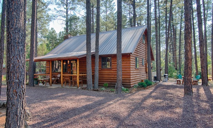 Pinetop-Lakeside Cabin | Wooded Family Cabin in the Pines - Guest Rated 10/10!