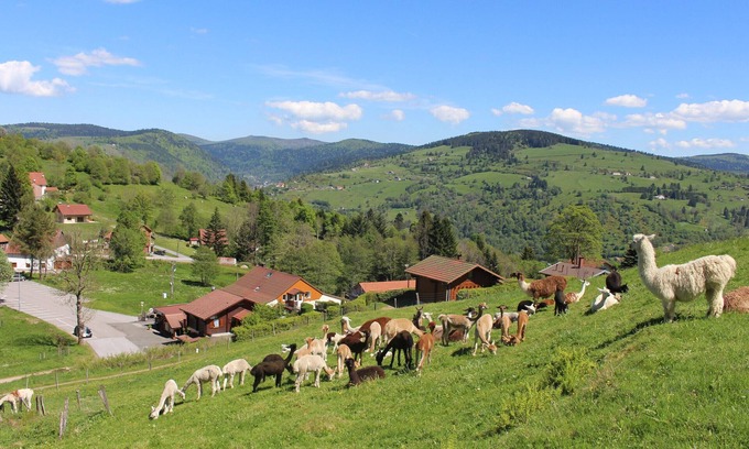 La Bresse Cottage | Cozy Gite La Bresse: Ideal for Families and Pets