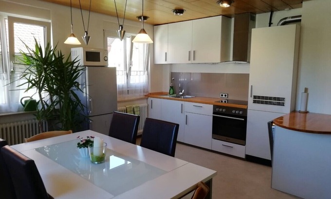 Stuttgart Apartment | Family-Friendly Retreat with Spa and Lake Views