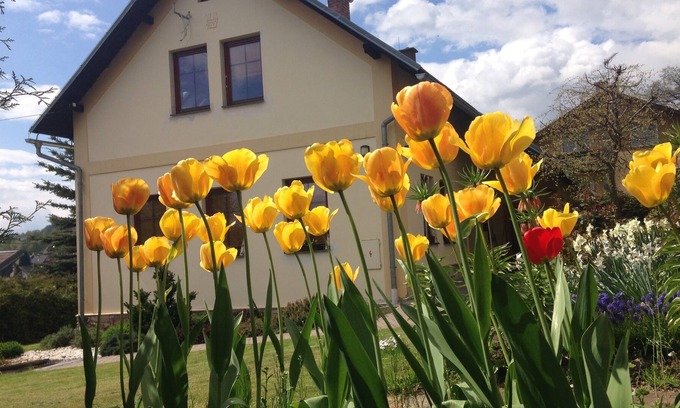 Vrchlabi Apartment | Family-Friendly. Warm Feeling With A Fireplace.