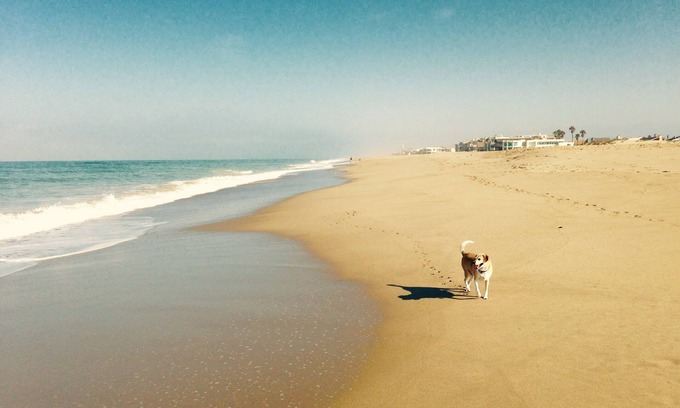 Oxnard Shores House | Family Fun Beach House: Pet-Friendly Oceanfront Retreat