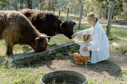 Kidaman Creek House | Family Fun On The Farm! Close to Kenilworth Stylish Feed Friendly Cows Breathtaking 360 Views