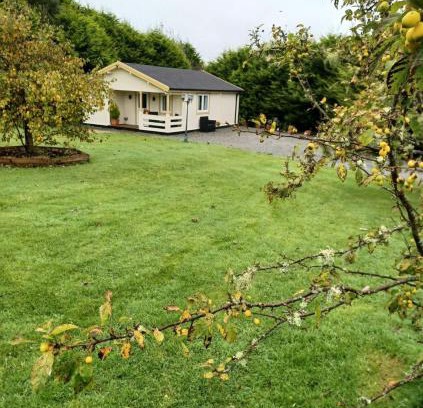 Letterkenny House | Cozy Family Log Cabin: Pet-Friendly Retreat for All
