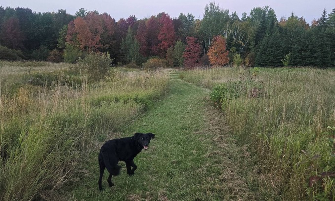 Aroostook Other | Family & Pet-Friendly Retreat on a Working Farm