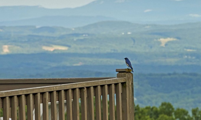 Fancy Gap Cabin | Scenic Stay in Fancy Gap VA with Breathtaking Mountain Views