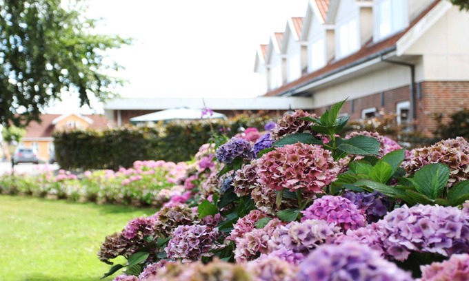 Tasinge Hotel | Discover Fangel Kro & Hotel: Family-Friendly Retreat