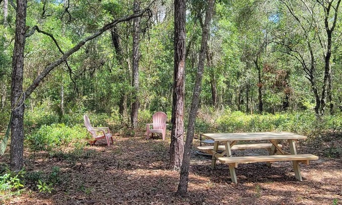 Chiefland RV Rental | Discover Fanning and Manatee Springs Campground Awaits