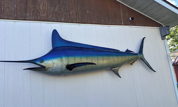 Oscoda House | Fantasy Island Getaway LARGE FAMILIES GETAWAWAY