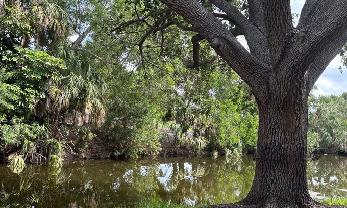 Palm River Estates Bed & Breakfast | Fantastic bed & breakfast with AC in Naples