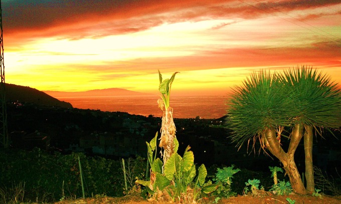 La Orotava House | Idyllic Canarian House Amidst Vineyards with Free WiFi