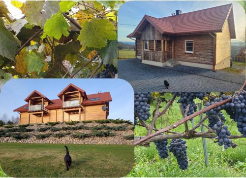 Gruszow Apartment | Stunning View Vineyard in the Picturesque Beskid Mountains