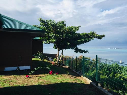 Moorea-Maiao Bed & Breakfast | Experience Fare Anuanua: Oceanfront Escape with Pool