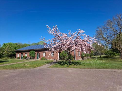 Schildetal Apartment | Farm-Chalets Apartment Park