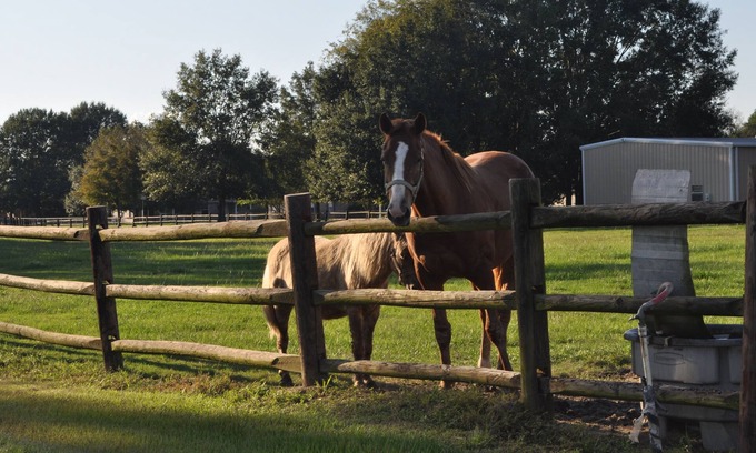 Scott House | Cozy Farm Retreat with Scenic Views and Family Amenities