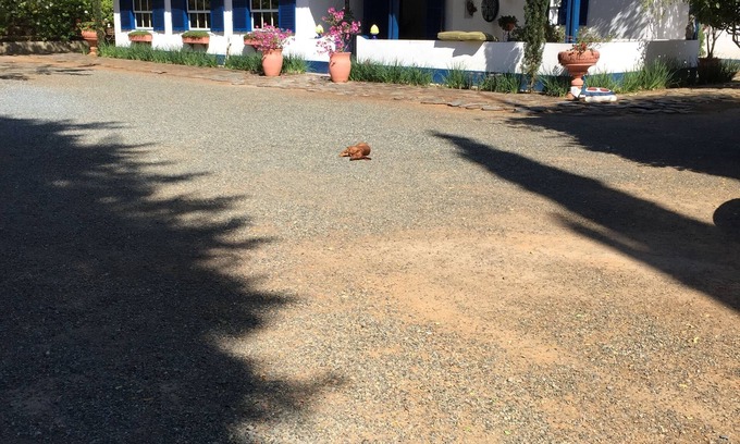 Salto de Pirapora House | Experience Farm Life at Salto de Pirapora with Pool & Pets