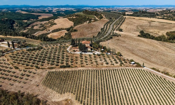 Asciano Other | Cozy Farm Saltafabbro Apartment ROSA: Family-Friendly Stay